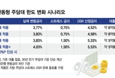 지방 주담대 한도 줄어드나…스트레스 DSR 유예 연장 여부 이달 결정