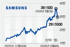 25% 빠졌는데 "삼전닉스 싸게 살 기회"...반도체 아직 튼튼