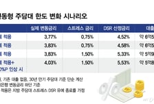 '스트레스 DSR 유예' 갈림길, 지방 대출 좁아지나