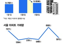 양도세 중과 한달… 서울 아파트 매물 13% '급감'