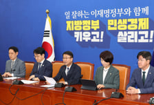 與, '선거제도개혁TF' 가동…10일 첫 회의