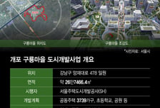 또 제동 걸린 구룡마을…명도소송 지연에 막바지 이주 '빨간불' 썸네일