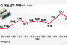 "RIA 혜택 끝" 다시 쇼핑 나선 서학개미…불붙은 환율에 기름 붓나