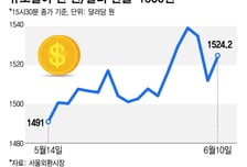 환율 1600원 턱밑, 예상도 못했다…"자구책 바닥, 사업 접을 판" 비명