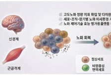 "불로장생의 꿈, 실현될까" 정부, '노화 제어 기술'에 475억 투입