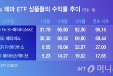 메타버스 ETF 부활…기판주 올라타고 수익률 30%대 껑충