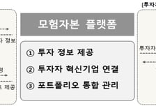 모험자본 공급자·벤처기업 연결…'모험자본 플랫폼' 다음달 출시