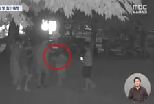 [영상]"담뱃불로 지지고, 속옷 벗겨 촬영" 지적장애 또래 폭행한 중학생들