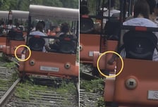 애들 타는 레일바이크서 '줄담배'…민폐 중국인, 관리요원도 '모르쇠'