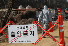 가축방역 최전선 지키는 공방수…정부, 수급관리·처우개선 나선다