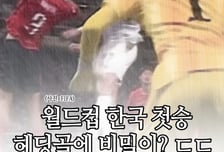 [곰국툰] 축구 승리, 이건 '특급 비밀'이야