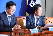 "전당대회 준비시한 면제"…與 중앙위, '당헌 개정안' 가결