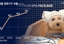 체크인 해주개… 강아지가 즐거운, '펫 특화호텔' 뜬다