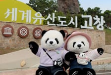 '판다 할부지' 고향부터…루이·후이 전국 여행 나선다