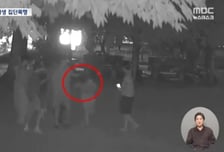 "촉법이라 안 가"…지적장애 또래 옷 벗기고 달팽이 먹인 중학생들
