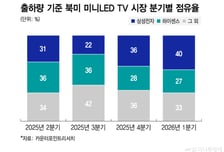 보급형 TV서도 中 추격 따돌린다…미니 LED 왕좌 노리는 삼성