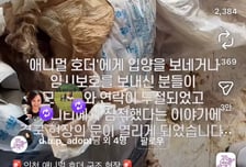 쓰레기집서 8마리씩 죽어도, 아무나 키울 수 있는 法
