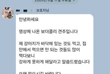 보더콜리 목줄 잡아올려 '버둥버둥'…애견유치원 원장 해명은?