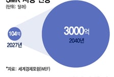 신규 원전 부지 확정에 건설업계 반색…"K-SMR, 해외진출 교두보될 것"