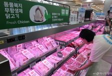 초복 한달 앞두고 닭·오리값 나란히 상승…보양식 물가 부담
