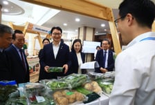 "헐값 된 양파, 팔 곳 찾자"…농식품부, 생산자·구매사 직접 연결
