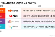 불닭 다음은 건기식, 식품업계 신사업 경쟁