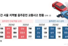 '사고다발' 강남권 음주운전 막는다…경찰, 대대적 단속