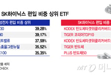 "메타버스주에 삼전닉스?" 너도나도 담는다…ETF 삼킨 반도체 '투톱'