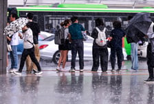 [내일 날씨] 전국 천둥번개 동반 많은 비…낮 최고 29도 더위 '주춤'