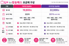 "VOD 한 번에 보세요"…LGU+, 지상파·JTBC 묶은 '방송패스' 출시