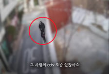 김규리 자택 강도, 서동주 집도 노렸다…표창원 "드문 사례, 충격"