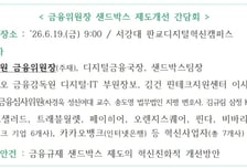 금융위, 샌드박스 개편…핀테크 배타적 운영권 '지정 즉시' 부여