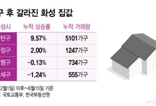 같은 화성인데, 동탄만 '불기둥' 특정지역 맞춤 '핀셋규제' 절실