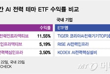 같은 AI전력 ETF…미국 12%↑, 한국 24%↓ '엇갈린 성적표'