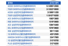 "단일종목 레버리지 ETF 위험한데 쿨다운 안돼" " 금감원장 경고 왜 나왔나