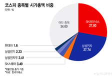 SK하이닉스는 어떻게 시총을 뒤집었나…ADR 기대감에 수급↑