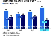 "능력 중요하지만 집값은 못참아"...승부 가른 강남3구 '부동산 민심'