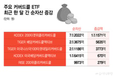 변동성 장세엔 커버드콜...한달새 순자산 3조↑