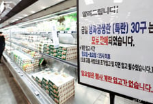 "한판에 얼마?" 입고 즉시 매진…계란값 뛰자 수입란 동났다