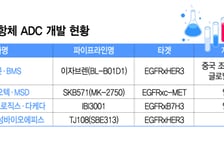 中, 세계 최초 이중항체 ADC 승인…삼성에피스·에이비엘 승부수는