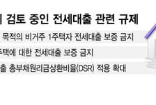 "특이한 사금융" 대통령이 콕 집었다...'전세대출 대수술' 어떻게?
