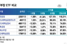 다음은 반도체 소부장?…미리 투자할 ETF는[ETFvsETF]