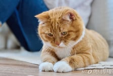 갤럭시 워치 데이터, 신약 개발에 쓴다…삼성-알체디스 맞손
