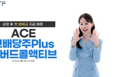 ACE 고배당주Plus커버드콜액티브, 다음달 2일 첫 분배금 지급