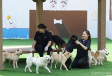 반려동물 사료 검사 정확도 1000배↑…농관원, 분석법 3종 개발