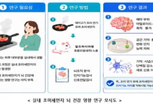 "조리 중 발생하는 미세먼지, 인지기능 저하시킬 수도"