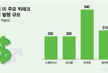 美빅테크 잇단 'AI 빚투'… 커지는 경고음