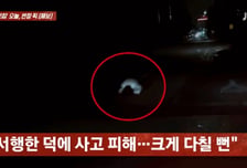 "귀신인 줄" 만취 여성, 새벽 도로 한가운데 털썩…무사 구조