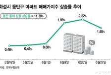동탄 아파트값 치솟자 "우리도 갈아탈까?"…강남·한강벨트 불씨되나