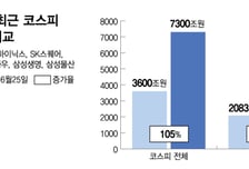 'S7' 한 종목도 없어..."코스피 뛰는데 계좌 녹는다" 개미 곡소리
